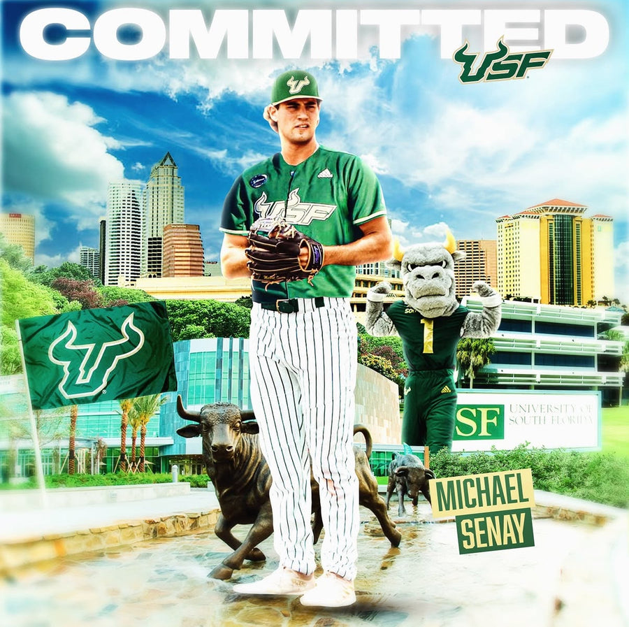 University of South Florida