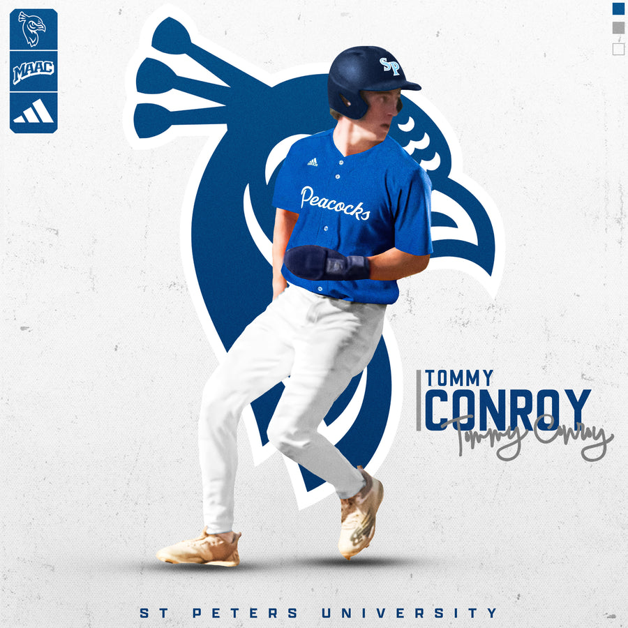 St Peters University 